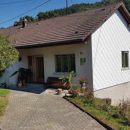 Villa Les Noyers Du Wissbach Willer-sur-Thur Exterior foto