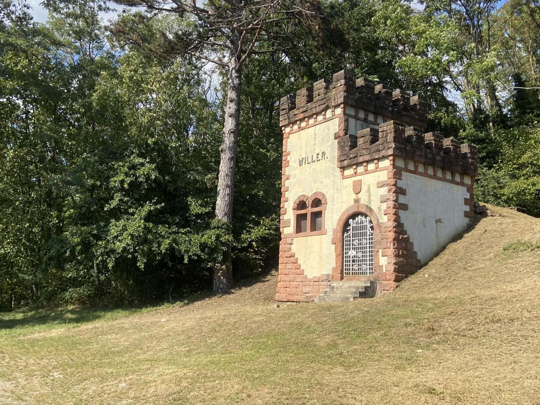 Villa Les Noyers Du Wissbach Willer-sur-Thur Exterior foto